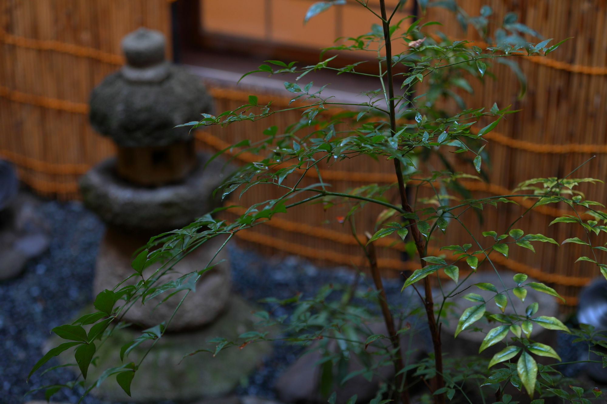 Хостел Sanjojuku Kyoto Machiya Экстерьер фото